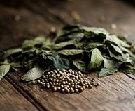 Patchouli & Peppercorn Parfümöl